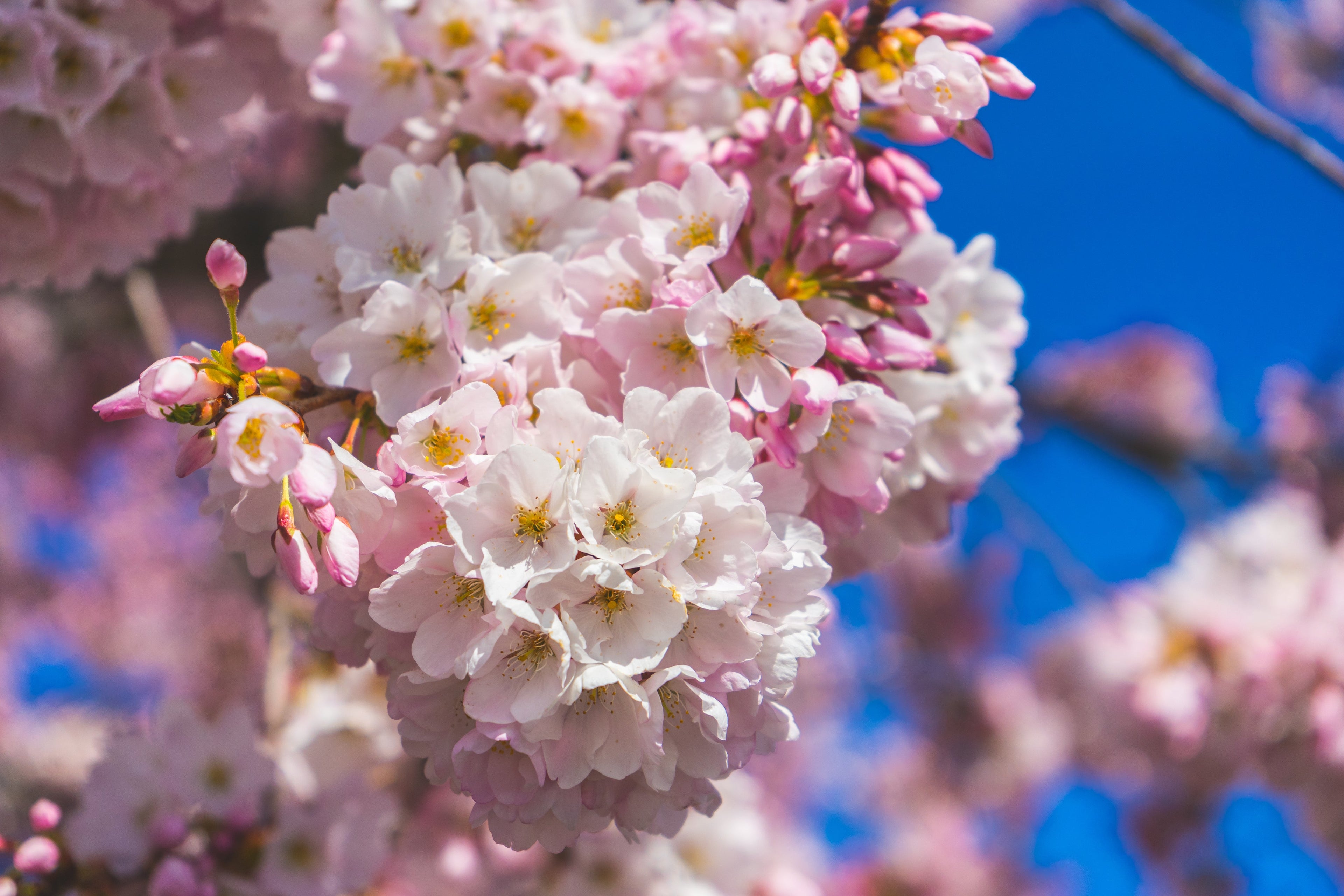 How I Found Wellness This Week